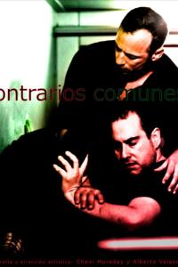 Contrarios Comunes