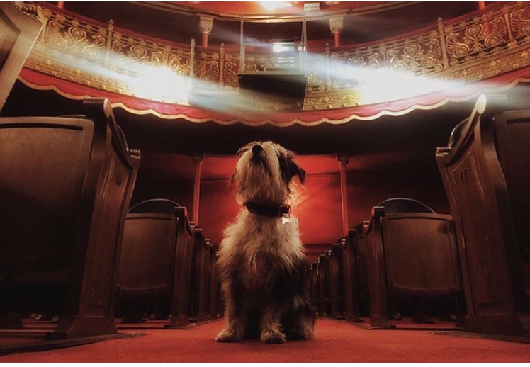 Equix, el nuevo socio&nbsp;absurdo.