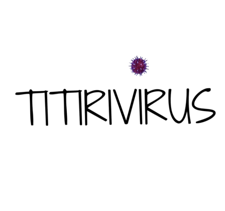 TITIRIVIRUS EN LA SALA&nbsp;RNE